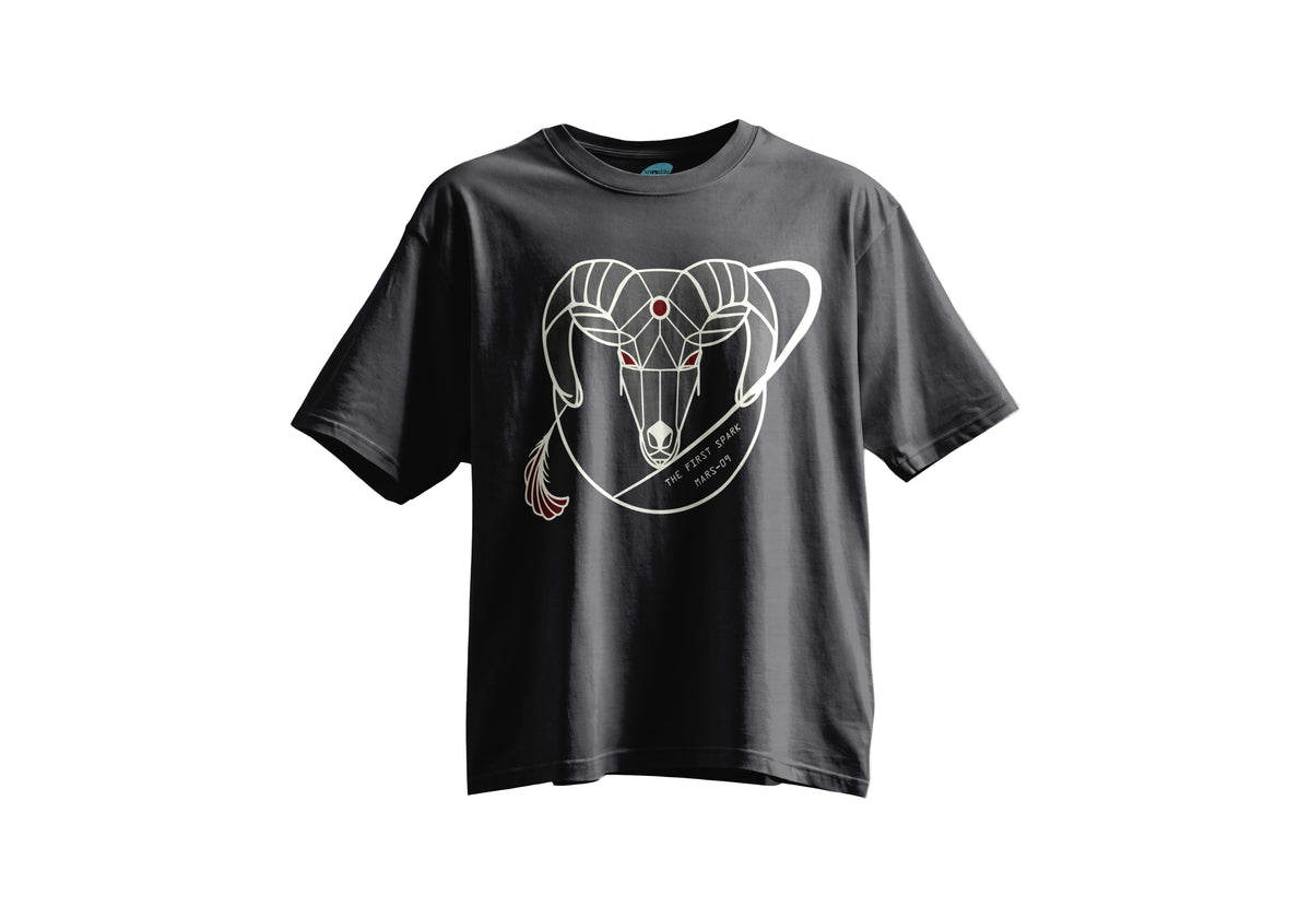 Koç Burcu Kısa Kollu Regular T- Shirt