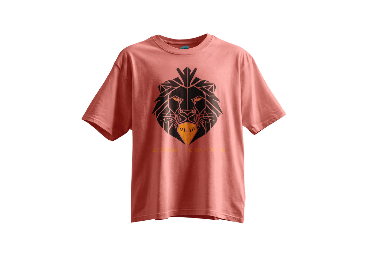 Aslan Burcu Kısa Kollu Regular T- Shirt