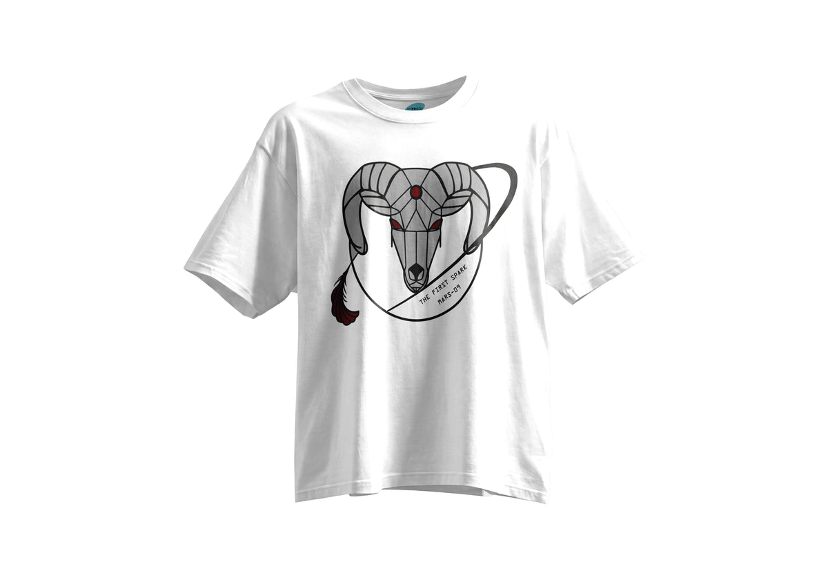 Koç Burcu Kısa Kollu Regular T- Shirt