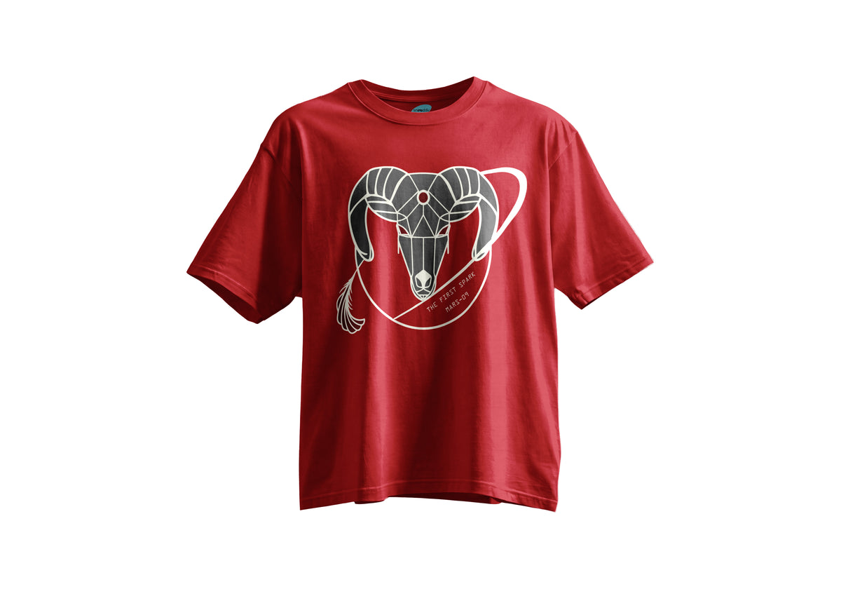 Koç Burcu Kısa Kollu Regular T- Shirt