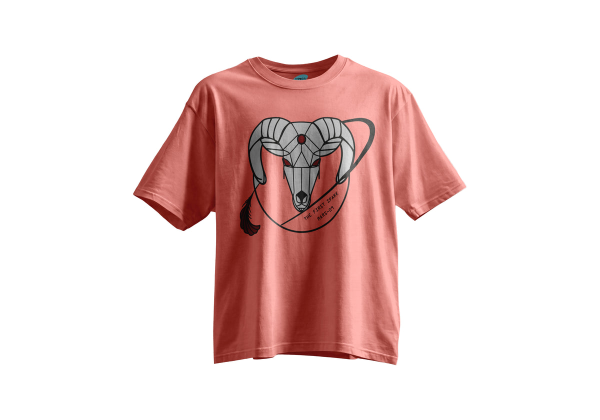 Koç Burcu Kısa Kollu Regular T- Shirt